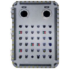 ADALET XCE080808N4 CONTROL ENCL