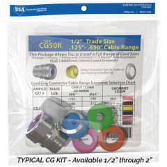 AMFI CG100K 1" NPT CG CONN. KIT
