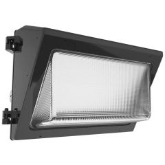 RAB 2XFU100 WALLPK WP2 ADJ 100 W-80W-60W LED FA CCT 3K-4K-5K & PC BZ