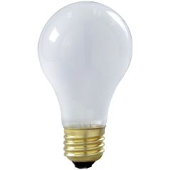 SATCO S3929 100W ROUGH S.LAMP 2-PACK