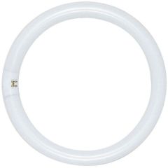 SAT S6502 FC8T9/WW CIRC 4PIN FLRLMP