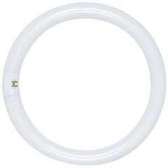 SATCO S6506 FC16T9/CW FLUOR LP
