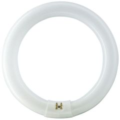 PHL 391169 FC8T9/COOL WHITE PLUS